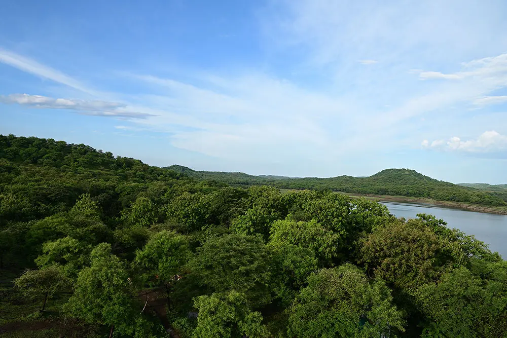 Sasan-Gir-54